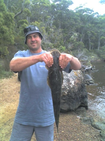 Nice flatty caught down at Walpole Nice flatty caught down at Walpole